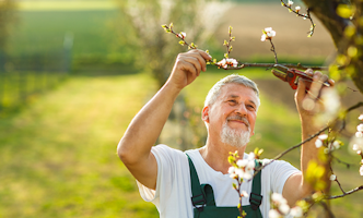waarom nieuwe regels